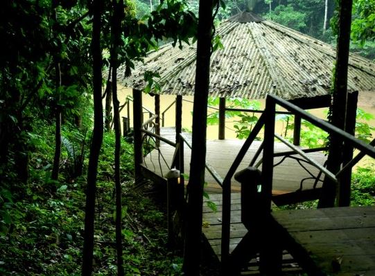 Estación de Biodiversidad Tiputini (USFQ)